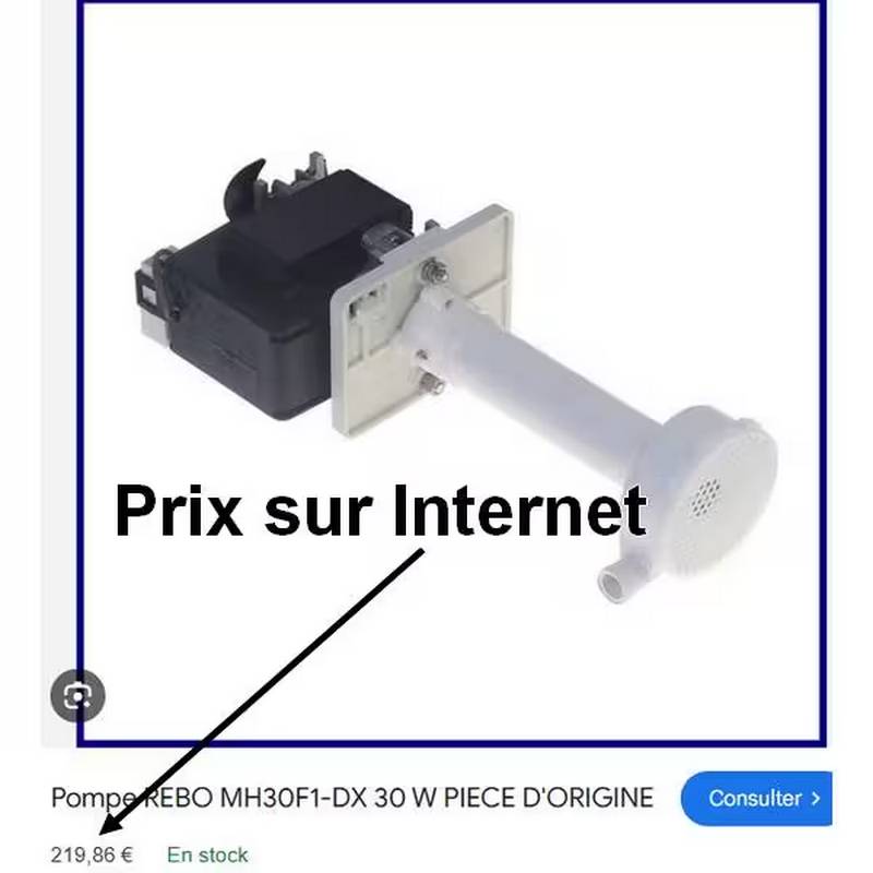 pompe REBO MH30F1 prix