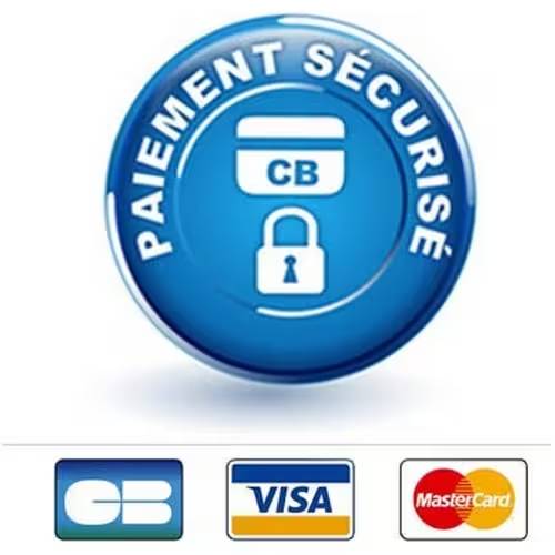 logo payement logo payement